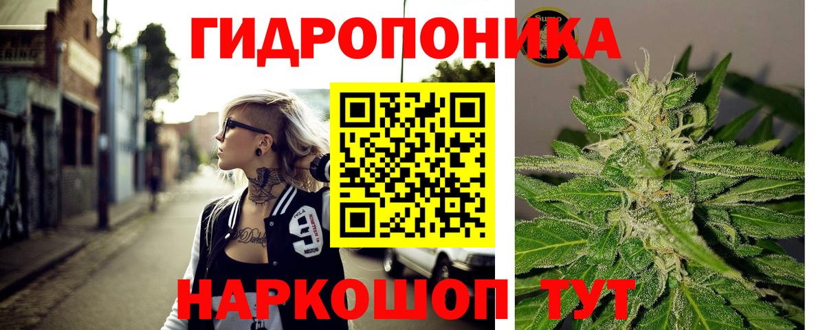 Бошки марихуана White Widow  Конопля индика  Марихуана Ganja  Дмитров  Вход с VPN 